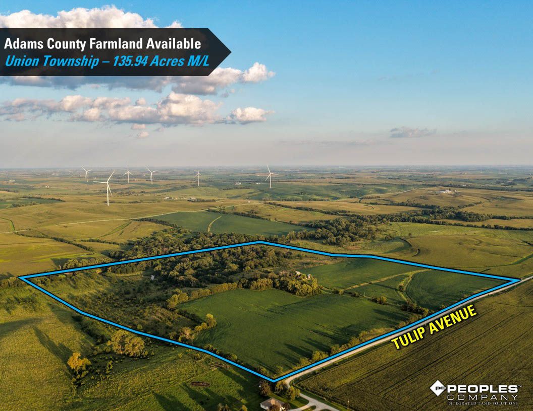 Listing Photo: Adams-County-Iowa-Farmland-Available-136-Acres-Blazek-Estate-19707 (31)